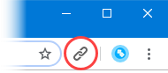Extension button on the browser panel